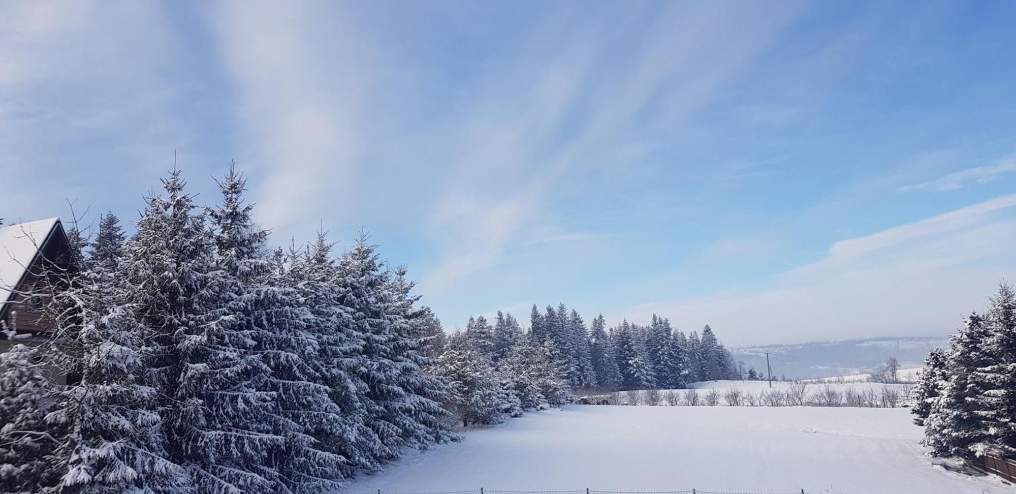 Apartamenty Pod Limba Zakopane Luaran gambar