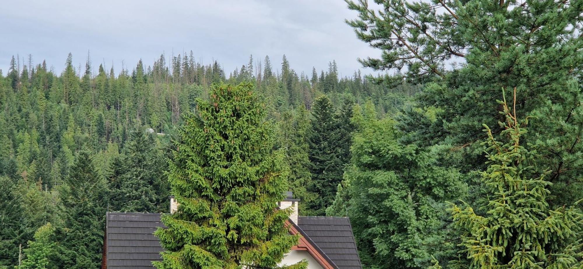 Apartamenty Pod Limba Zakopane Luaran gambar