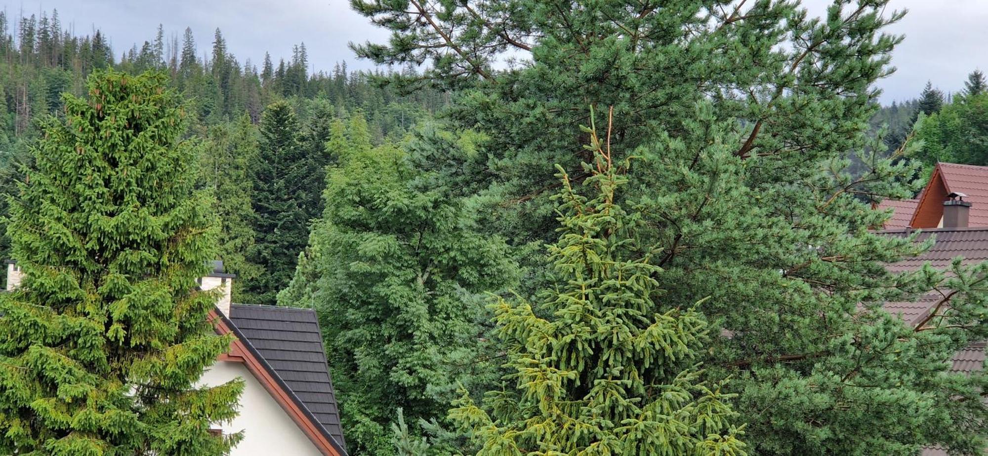 Apartamenty Pod Limba Zakopane Luaran gambar